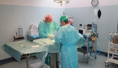 Clinica Veterinaria S. Eusebio – Chirurgia addominale