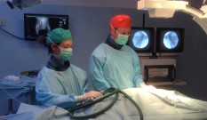Clinica Veterinaria S. Eusebio – Chirurgia ortopedica 2.0