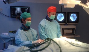 Clinica Veterinaria S. Eusebio – Chirurgia ortopedica 2.0