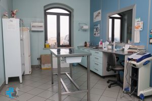 Clinica Veterinaria S. Eusebio ambulatorio