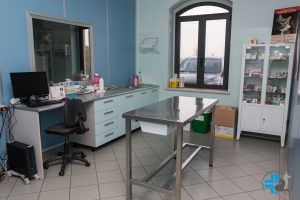 Clinica Veterinaria S. Eusebio ambulatorio