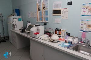 Clinica Veterinaria S. Eusebio laboratorio
