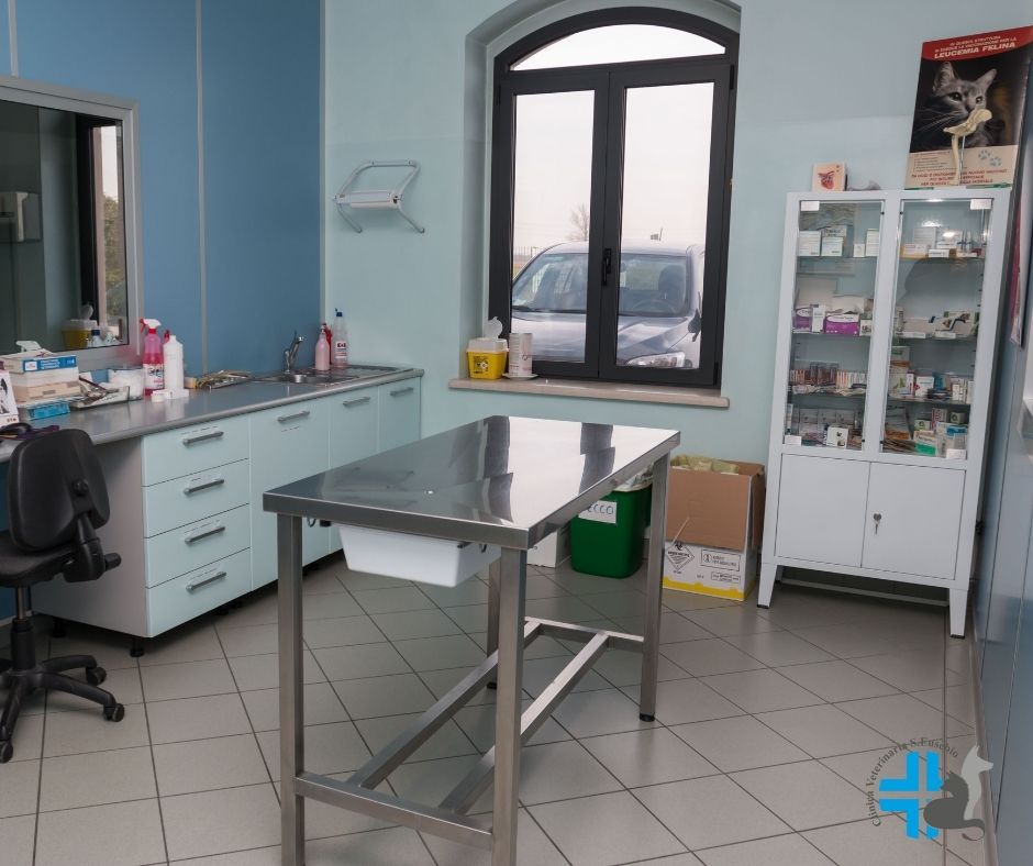 Ambulatorio clinica veterinaria Sant'Eusebio Asola