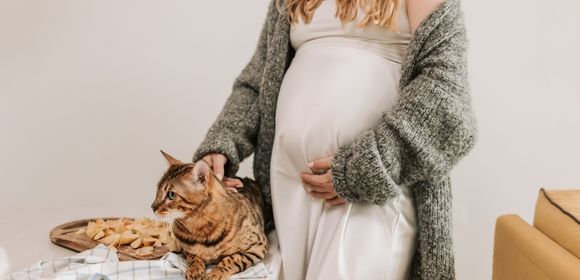 Banner toxoplasmosi gatto e gravidanza